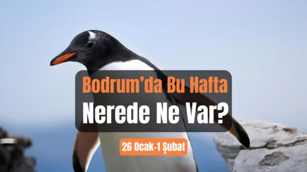 Bodrum Etkinlikleri: 26 Ocak – 1 Şubat 2026